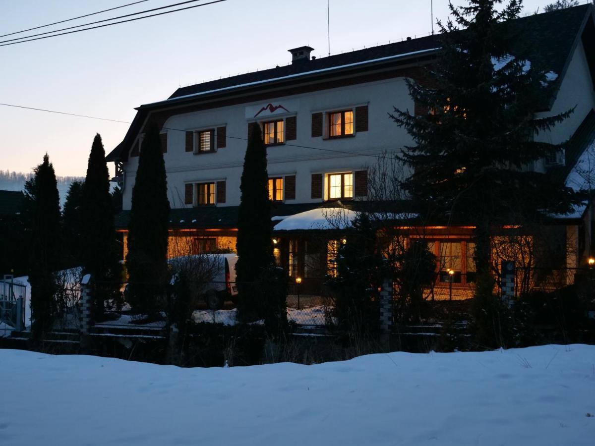 Beskid Ski Villa Wisła Buitenkant foto