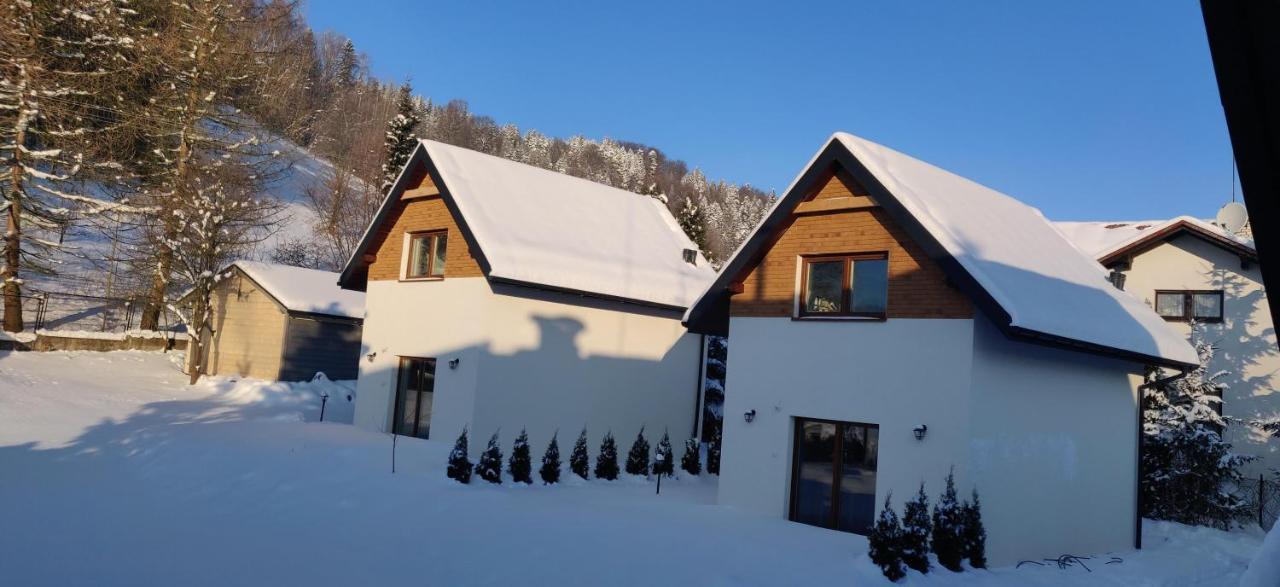 Beskid Ski Villa Wisła Buitenkant foto