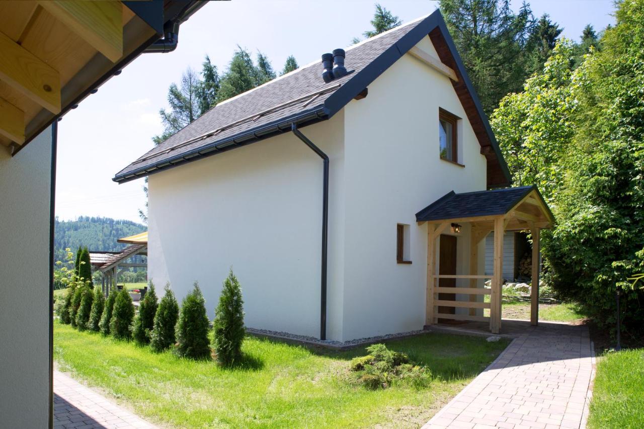 Beskid Ski Villa Wisła Buitenkant foto