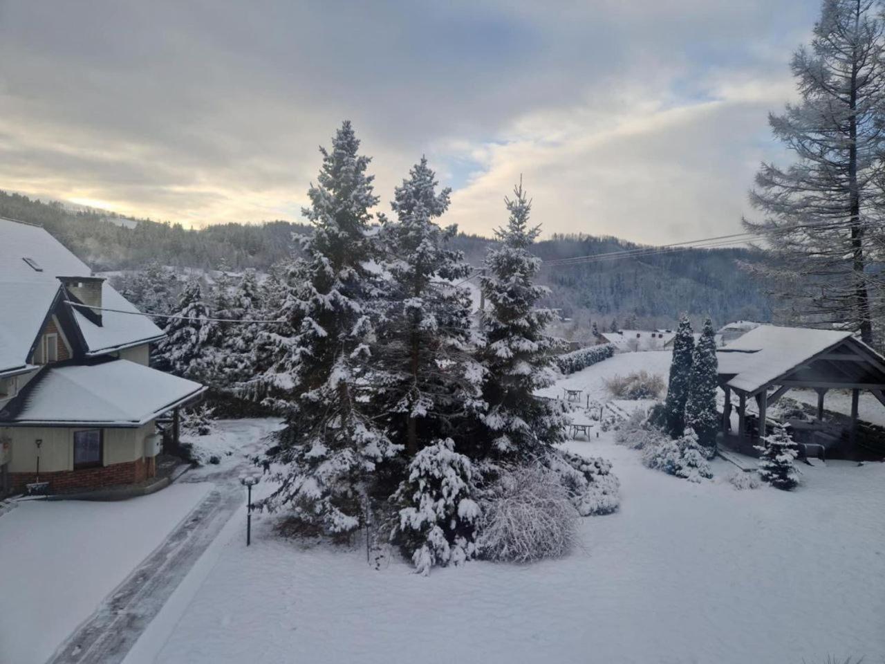 Beskid Ski Villa Wisła Buitenkant foto