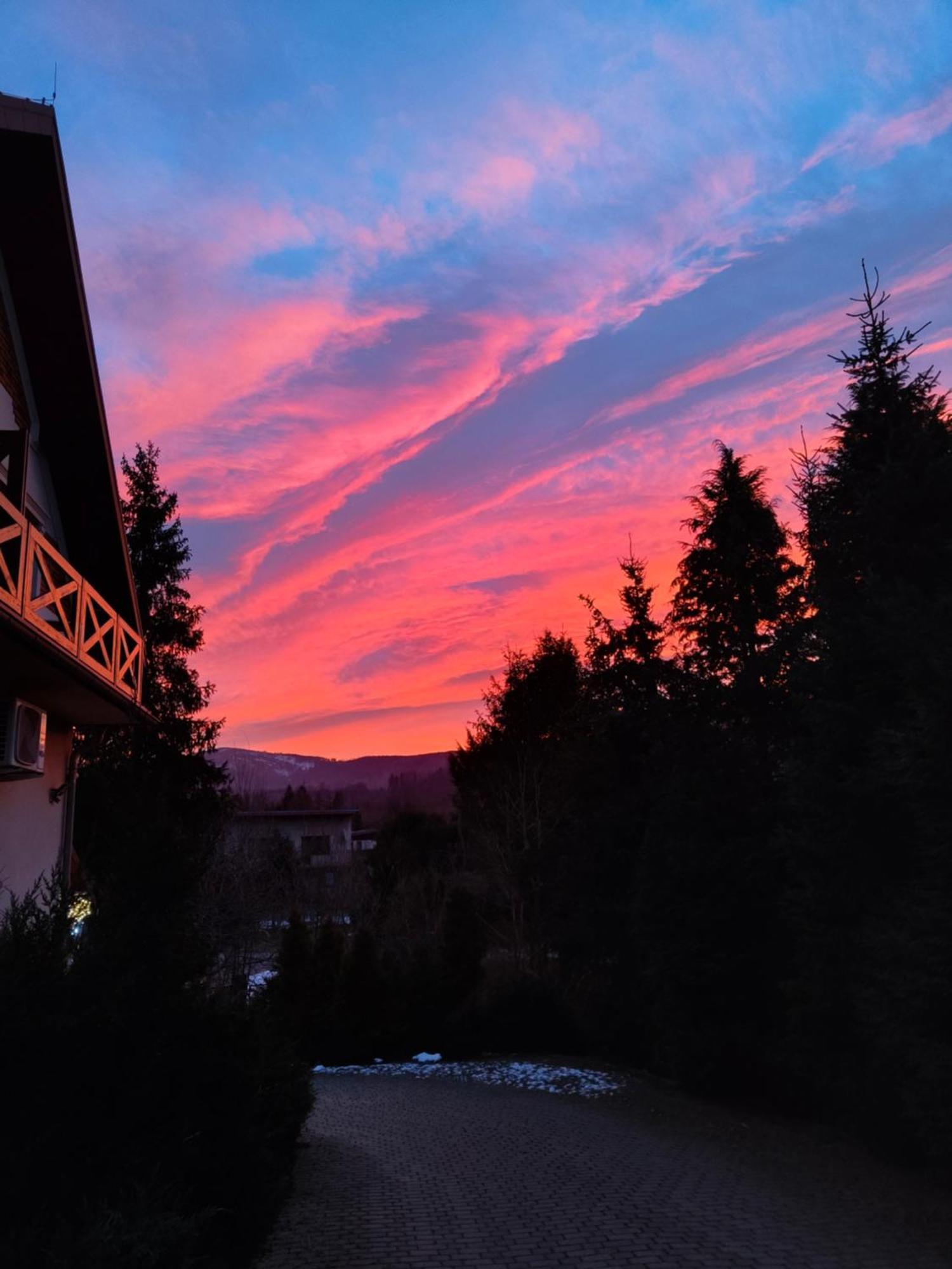 Beskid Ski Villa Wisła Buitenkant foto