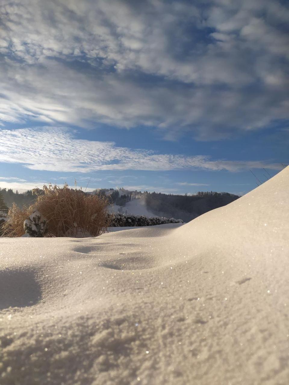 Beskid Ski Villa Wisła Buitenkant foto